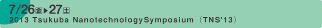 International Symposium─Tsukuba Nanotechnology Symposium (TNS’13)