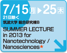 SUMMER LECTURE in 2013 for Nanotechnology / Nanosciences