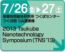 2013 Tsukuba Nanotechnology Symposium（TNS’13）